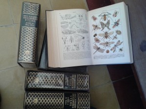 donacion-enciclopedias-mec-cerrocolorado