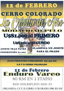 afiche gran criolla cerro colorado